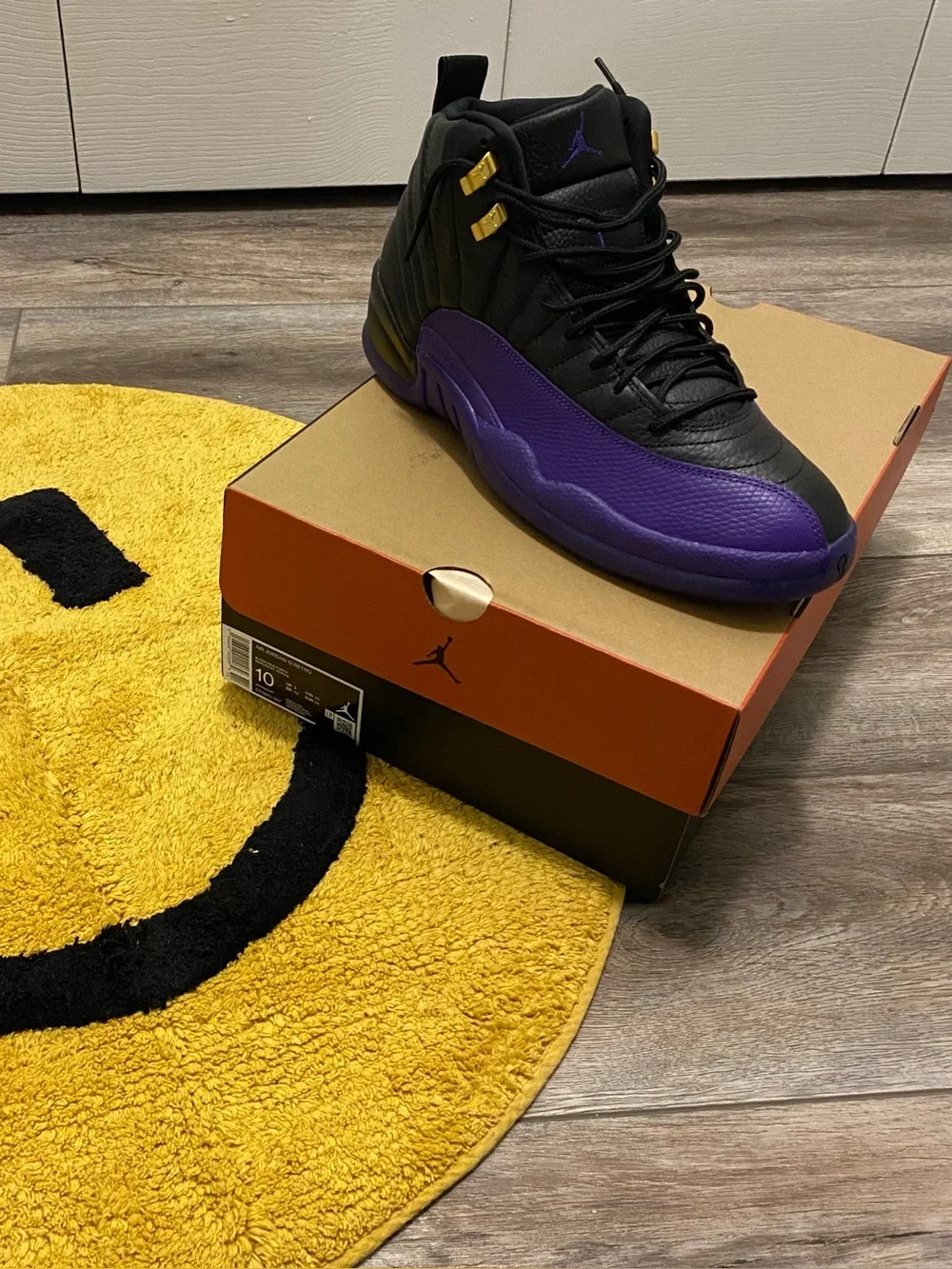 Jordan Air Jordan 12 Retro Field Purple Black High Top Men’s 2023 CT8013-057